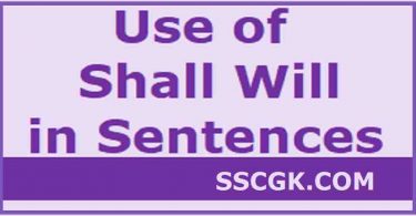 Use of Shall Will in sentences