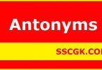 Antonyms Meaning and Examples