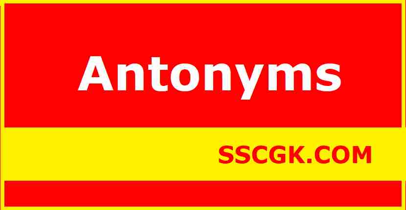 Antonyms Meaning and Examples