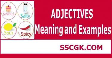 Adjective Meaning and Examples