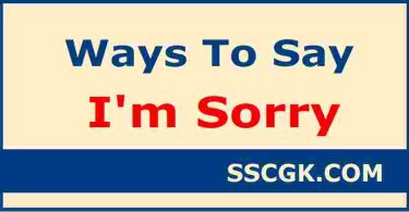 Useful Ways to Say Sorry in English